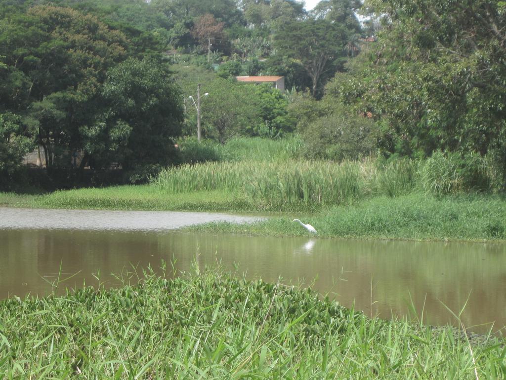 Chacara Famille Brun Appartement São João da Boa Vista Buitenkant foto